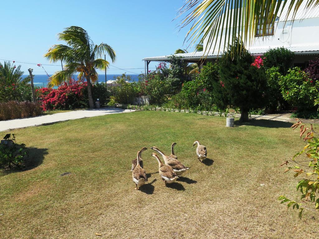 Residence Foulsafat Rodrigues Island Zewnętrze zdjęcie